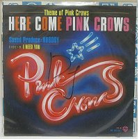 NOBODY HERE COME PINK CROWS シングルレコード