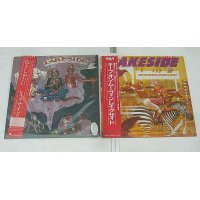 レイクサイド 2枚セット LPレコード