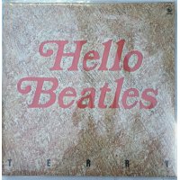 寺内タケシ ブルージーンズ HELLO BEATLES LPレコード