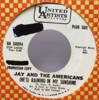 JAY AND THE AMERICANS/RAINING IN MY SUNSHINE シングルレコード