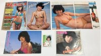 甲斐智枝美 枯葉天使 シングルレコード カード 雑誌切り抜き セット