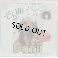 中山圭以子 そよ風のベンジー シングルレコード