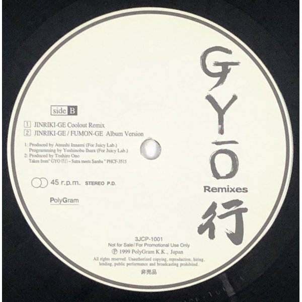 画像4: GYO 行 REMIXES 12インチレコード