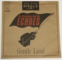 ECHOES エコーズ GENTLE LAND シングルレコード