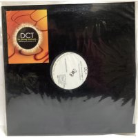 THE JOURNEY CONTINUES DCT 12インチレコード ドリームズカムトゥルー ドリカム リミックス