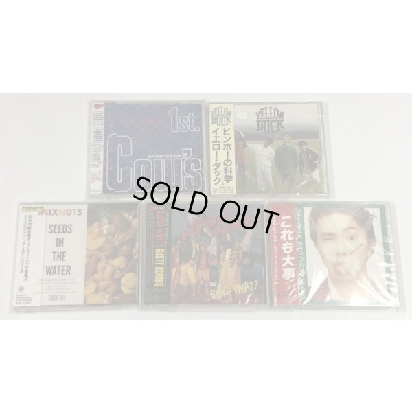 画像4: ブロス 幕末塾 INVOICE SPLASH COWCOW イエローダック ミックスナッツ ガスティボムズ 他 CD セット