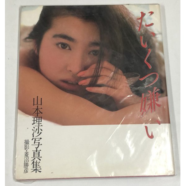 画像3: 山本理沙 YOU KEEP ME HANGIN ON 30cmレコード たいくつ嫌い 写真集 セット