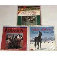 競馬 ハイセイコー タニノムーティエ シングルレコード セット