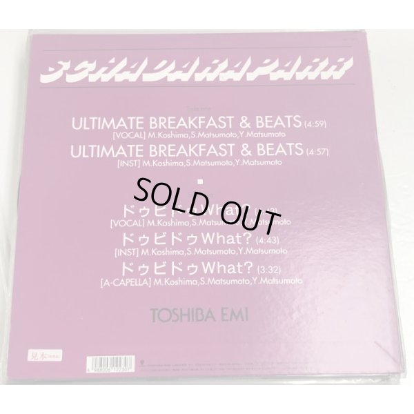 画像2: スチャダラパー ULTIMATE BREAKFAST&BEATS 30cmレコード