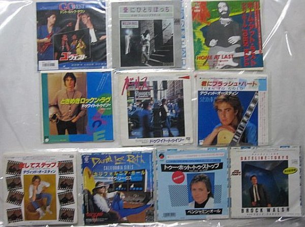 画像1: 洋楽 男性 ロックポップス デヴィットオースティン他 10枚セット シングルレコード (1)