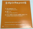 画像2: DIP IN THE POOL DIP /  A SEEKER 12インチ レコード (2)