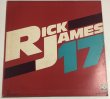 画像2: DEE D.JACKSON、RICK JAMES / SKY WALKING、17 12インチレコード (2)